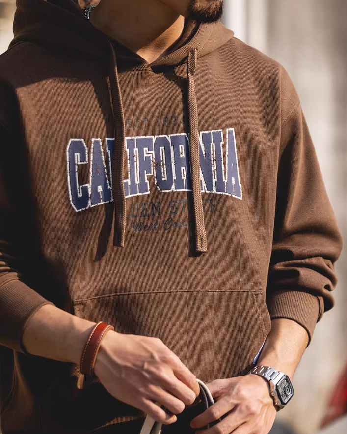 アストリア カレッジロゴプルオーバーパーカー 2524