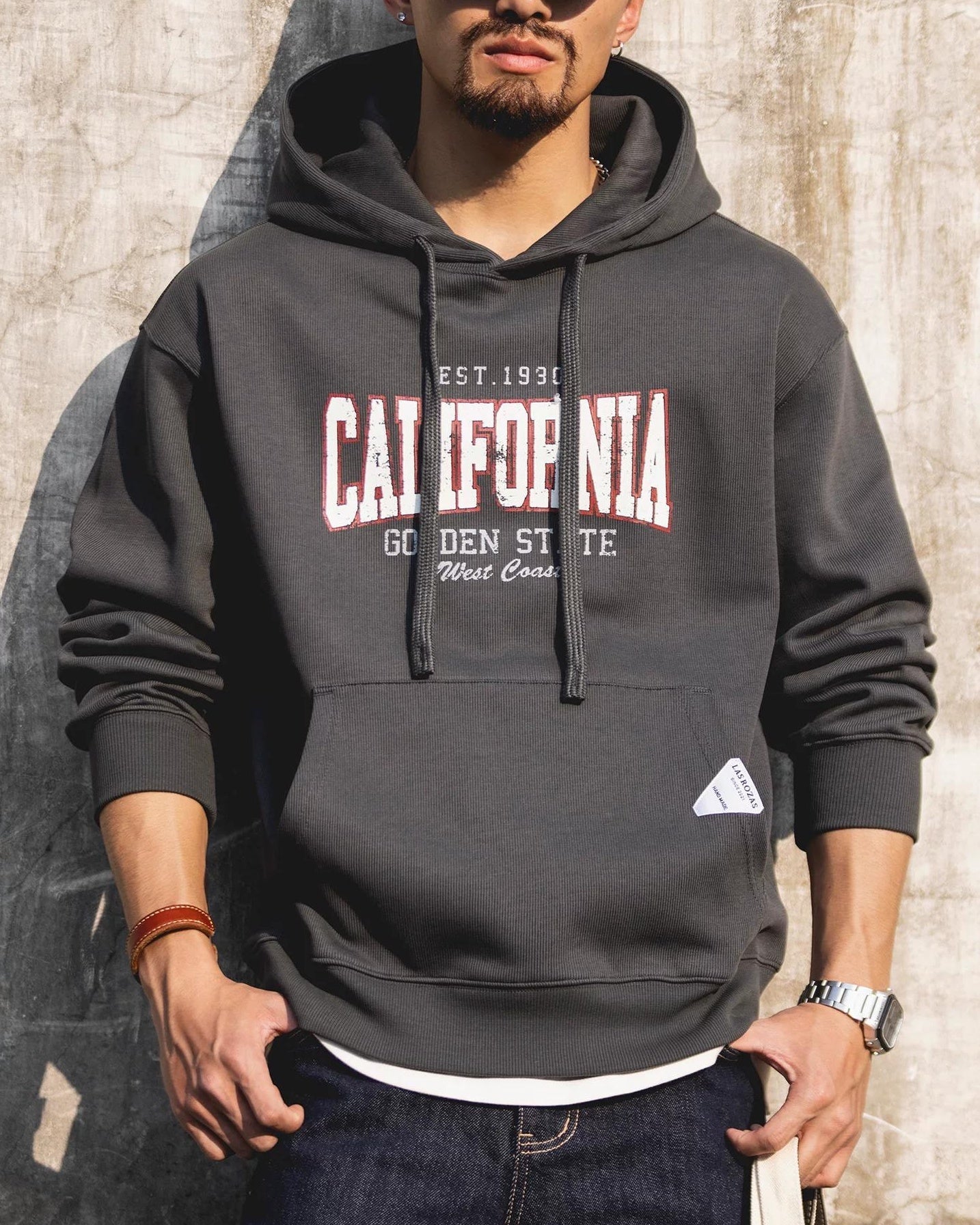 アストリア カレッジロゴプルオーバーパーカー 2524