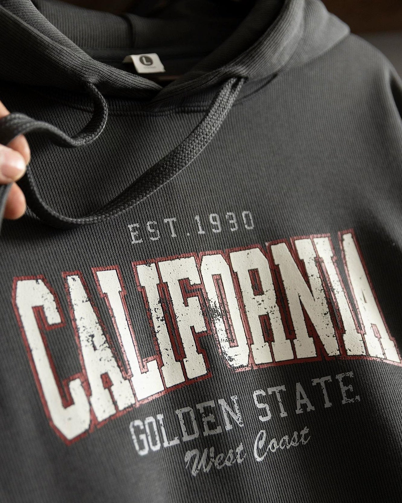 アストリア カレッジロゴプルオーバーパーカー 2524