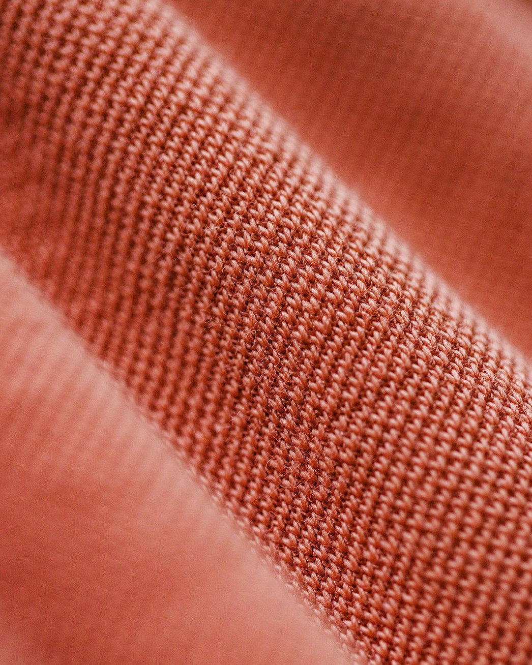 フィンドレー アニマルグラフィックティーシャツ 2631