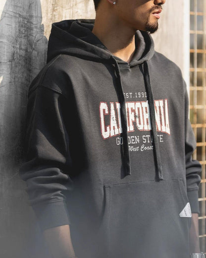 アストリア カレッジロゴプルオーバーパーカー 2524